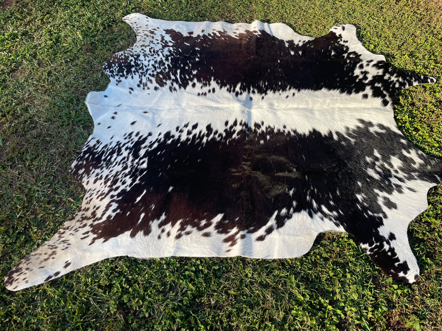 0105. Black and white Cowhide