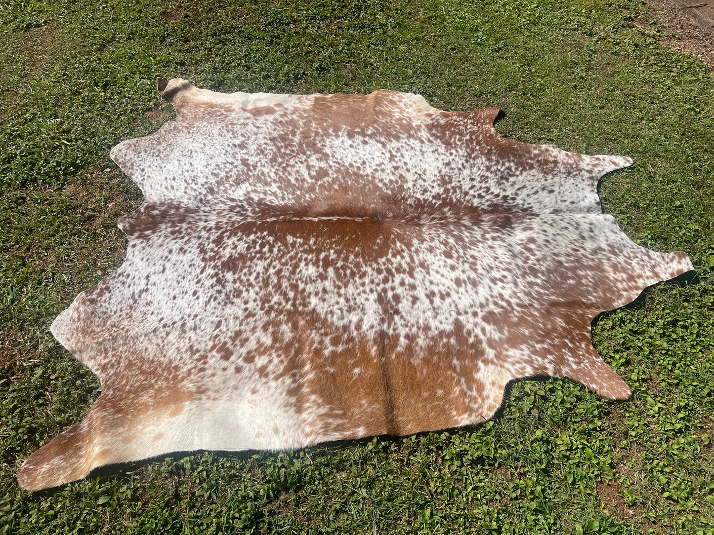 0102. Brown and white Cowhide