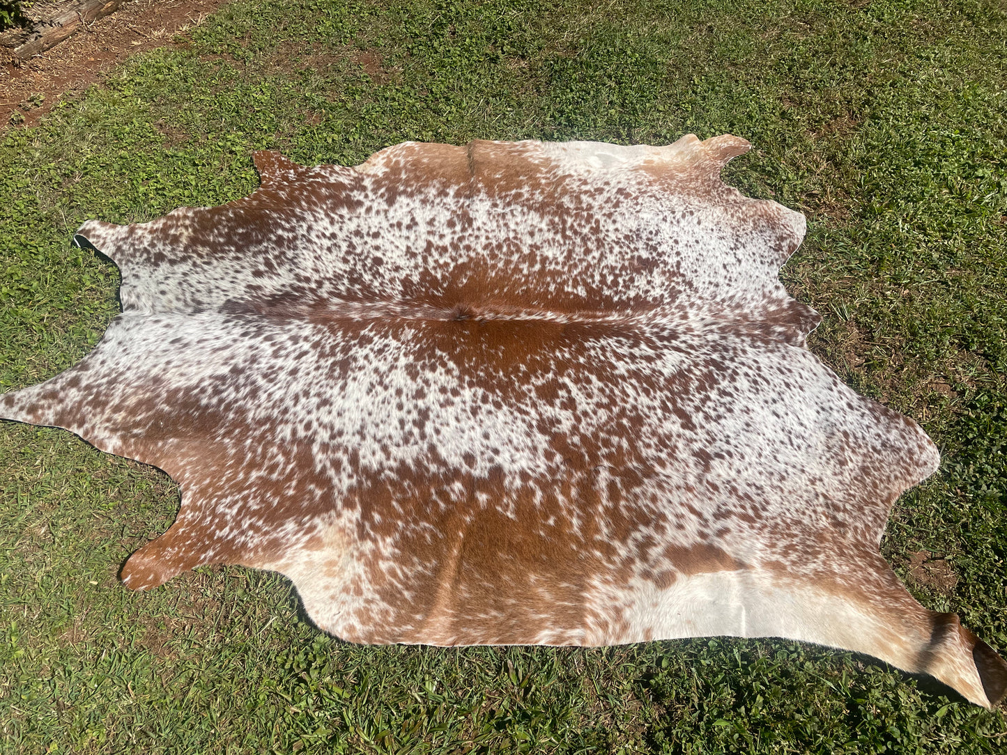 0102. Brown and white Cowhide